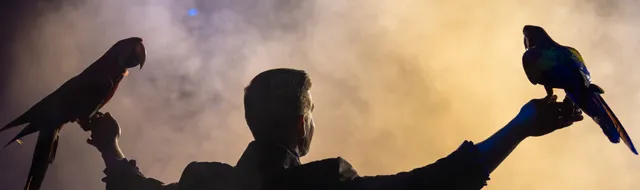 HULLIS - Comedy. Dinner. Show.