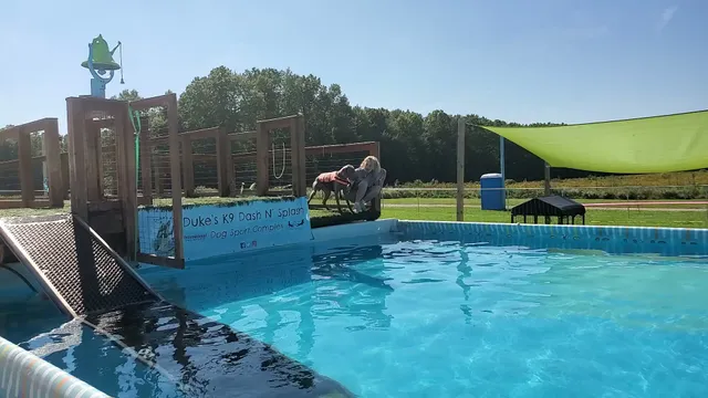 Duke's K9 Dash N' Splash