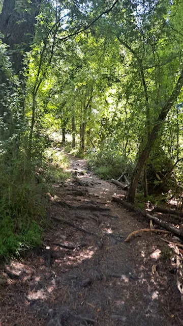 Sibley Volcanic Regional Preserve