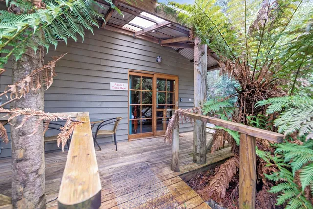 Cradle Forest Cottages