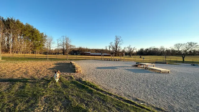 Alexander Ching Memorial Dog Park