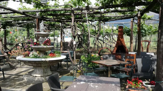 Agriturismo Il Vigneto - Società Agricola