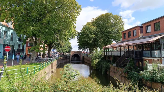 FeWo Greetsiel Austernfischer