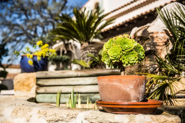 La suite 55 Chambres d’hôtes de charme & balnéo