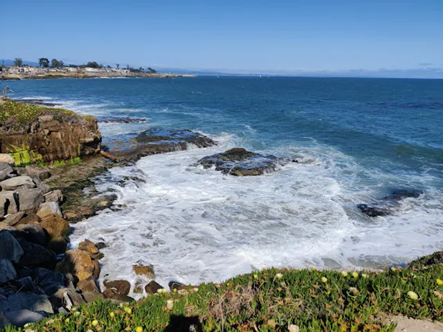 West Cliff Dr tide pools