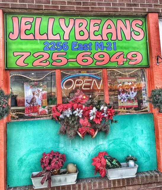 Jellybean's Used Books and Entertainment