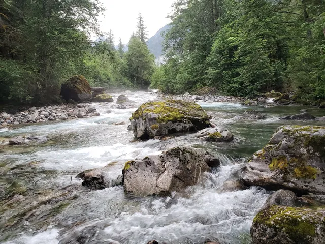 Upper Goodell Group Campground