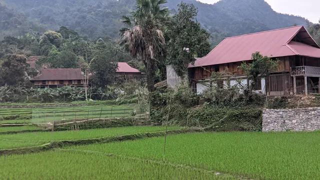Hà Giang Homestay- Mr.Diệu