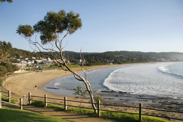 Great Ocean Road Tours | 12 Apostles Tour | Phillip Island Tour | Winery Tour | Blue Mountains Day Tour