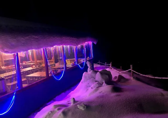 Blue Poppy Swiss Cottage camps