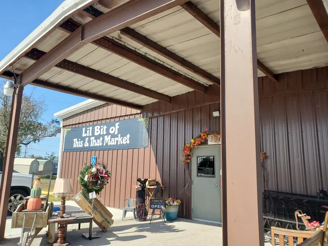 Lil Bit of This & That Market, L.L.C.