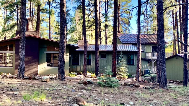 Bear Treehouse AZ