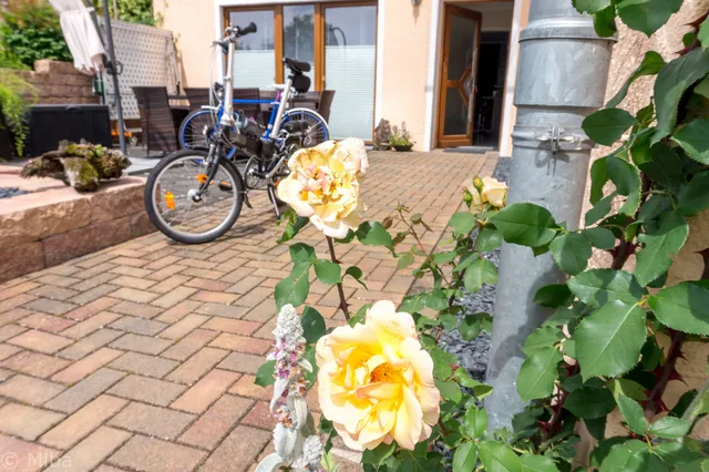 Ferienwohnung "Im Alftal"