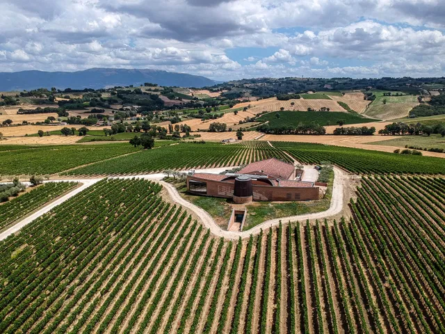 Societa 'Agricola Srl Briziarelli