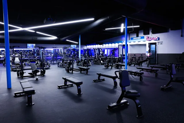 Amped Fitness (Fort Lauderdale)