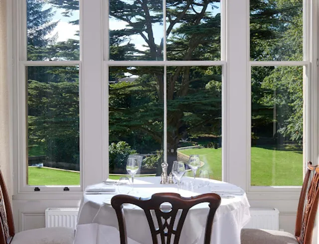 Cedar Tree by Hrishikesh Desai