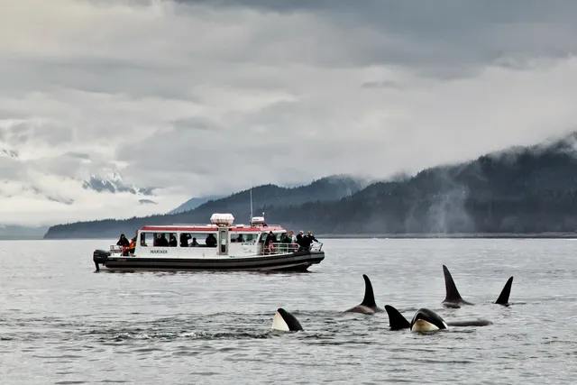 Gastineau Guiding Company