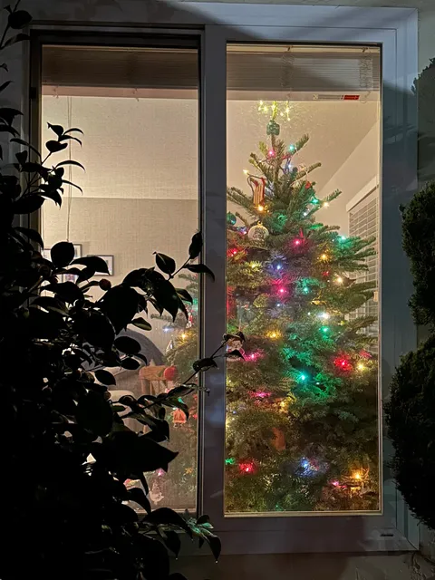 Delancey Street Foundation Christmas Tree Lot