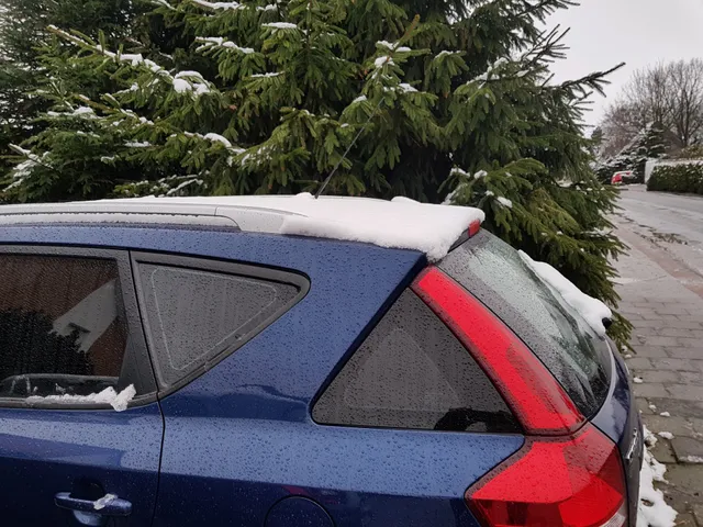 Wohnung Austernfischer