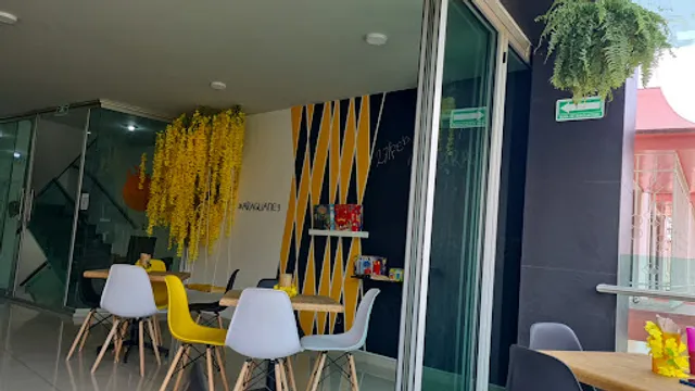 Araguaney - Comida Fusión