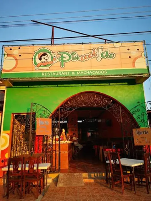Antojitos Regionales y Machacados "Pinocho"