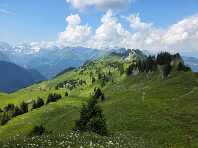 Schynige Platte - Loucherhorn - Schynige Platte