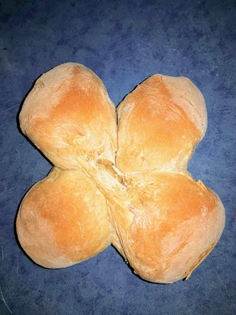 Padaria Belmontense Lda