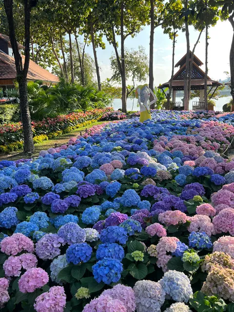 Chiang Mai Chaloem Phrakiat Park