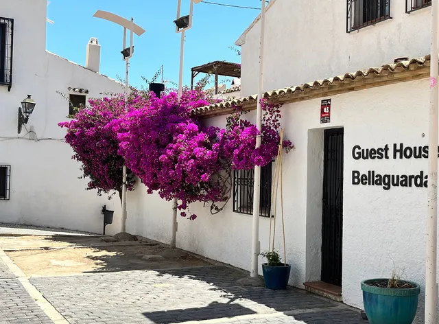 Guest House Bellaguarda