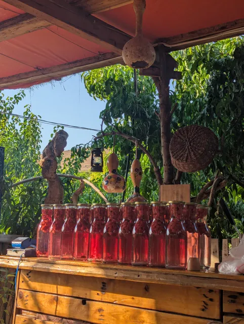 Hayk's Tasty Homemade Wines
