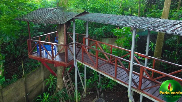 Perla verde, hostel Sarapiquí