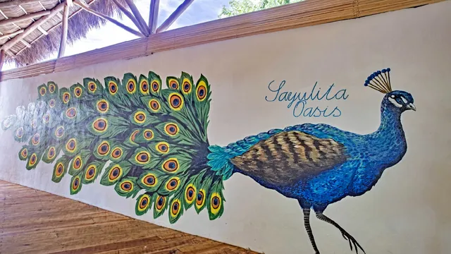 Sayulita Oasis