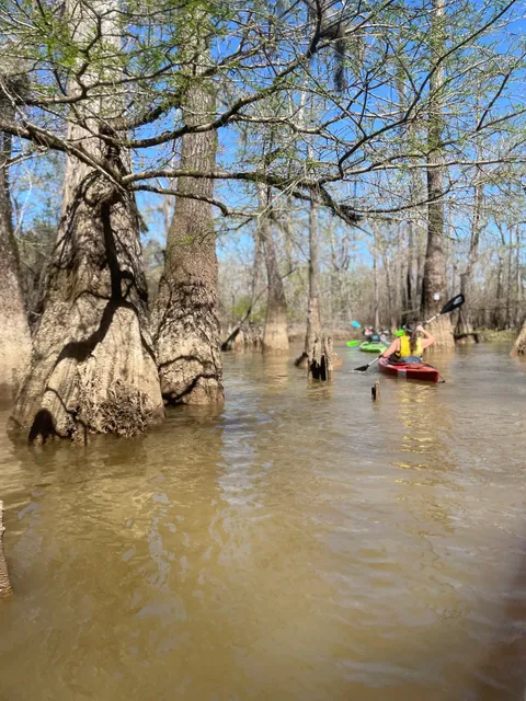 Big Thicket Outfitters