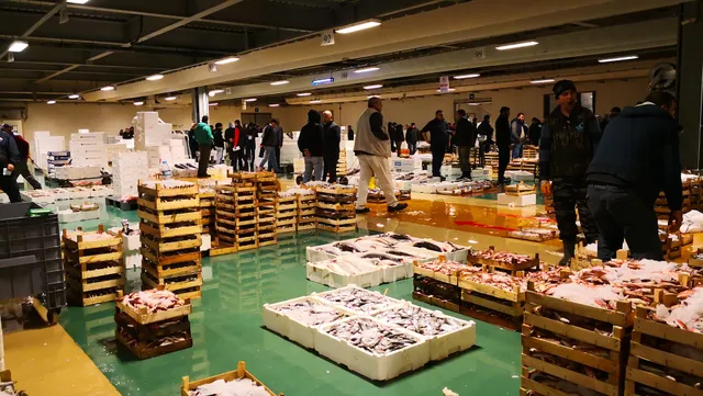 İBB Gürpınar Su Ürünleri Hali