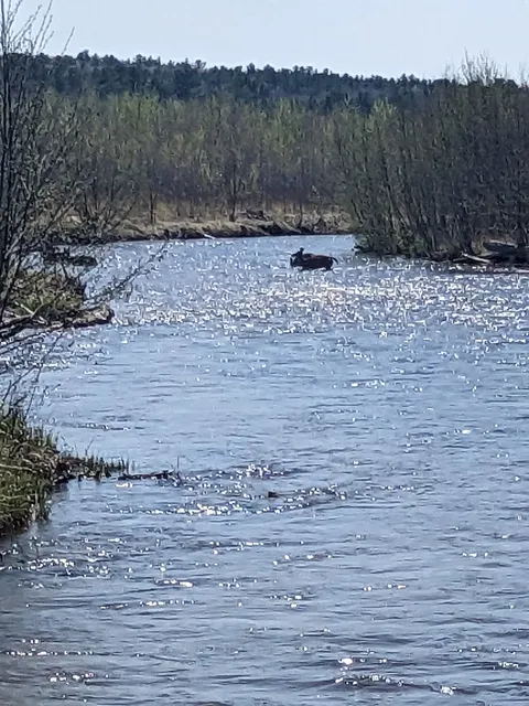 Brown Bridge Quiet Area Trailhead