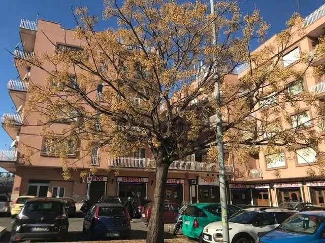 Dodo Holiday in Rome