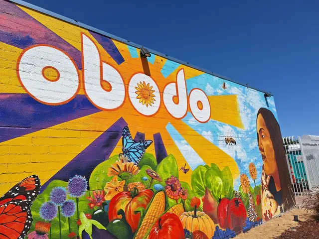 Obodo Urban Farm