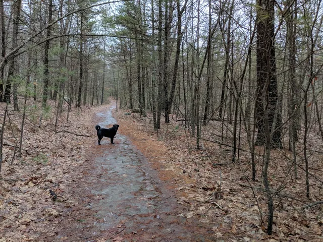 Gardner Hill Conservation Area