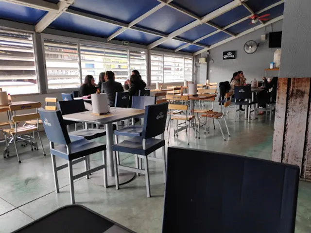 Guacamayas Constituyentes