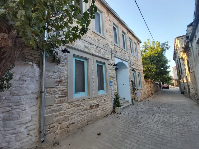 Foça Limon Ağacı