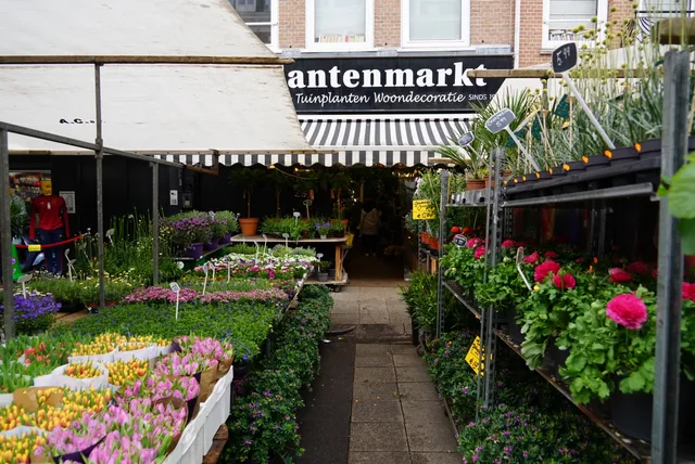 The Plant Market