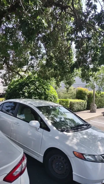 El Torito Supermarket