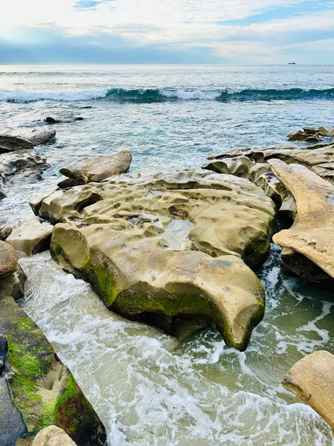 La Jolla Tide Pools