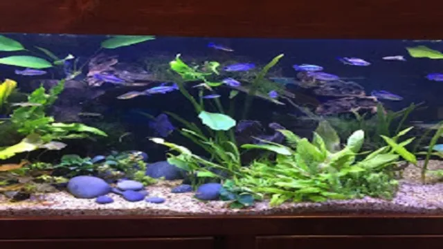 John's Aquarium Service