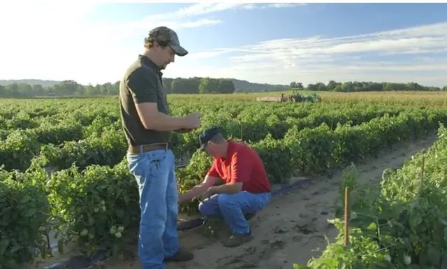 Stuckwish Family Farms