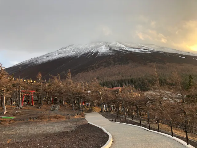 五合園レストハウス屋上展望台