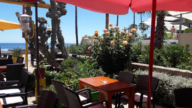 Tropical Paradise/to take away