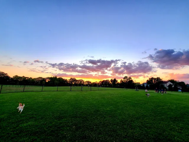 Breck Community Dog Park