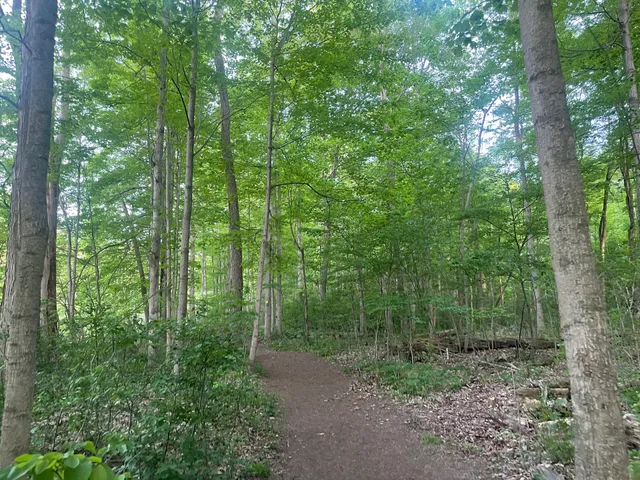 Medway Valley Heritage Forest