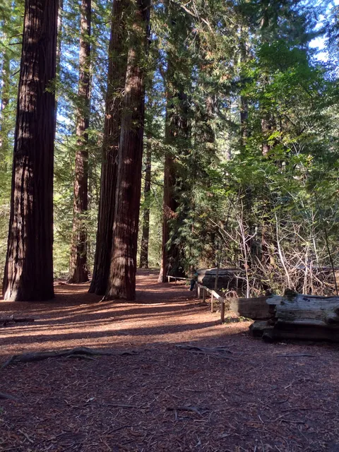 Frank and Bess Smithe Grove